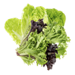 salad leaves