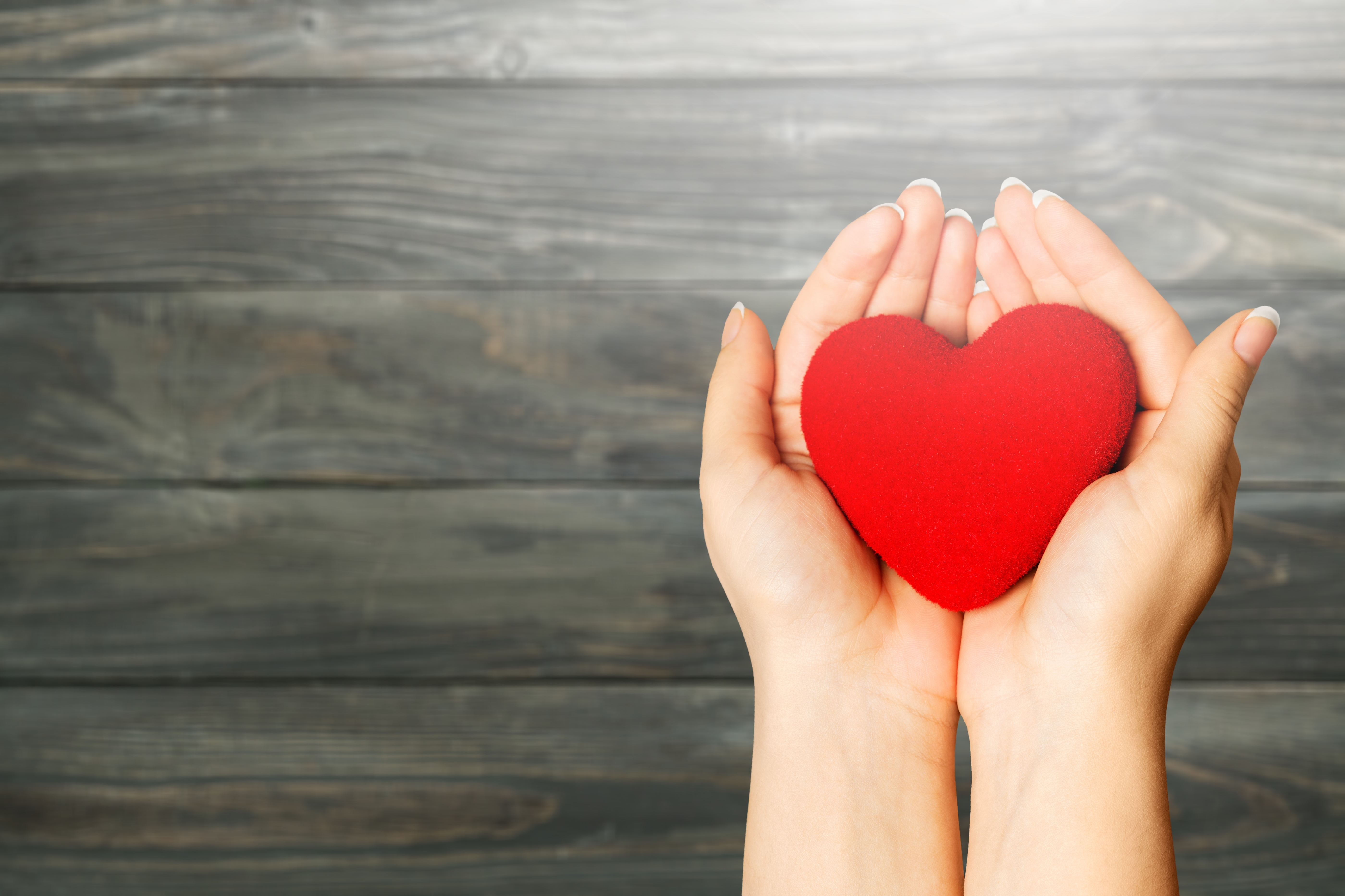 Someone holding a red heart in their hands