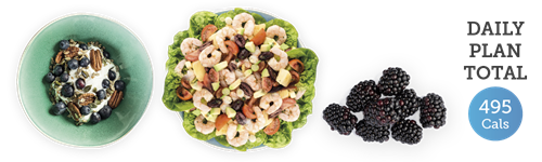 yoghurt with blueberries and pecans + prawn salad + blackberries = 495 cals