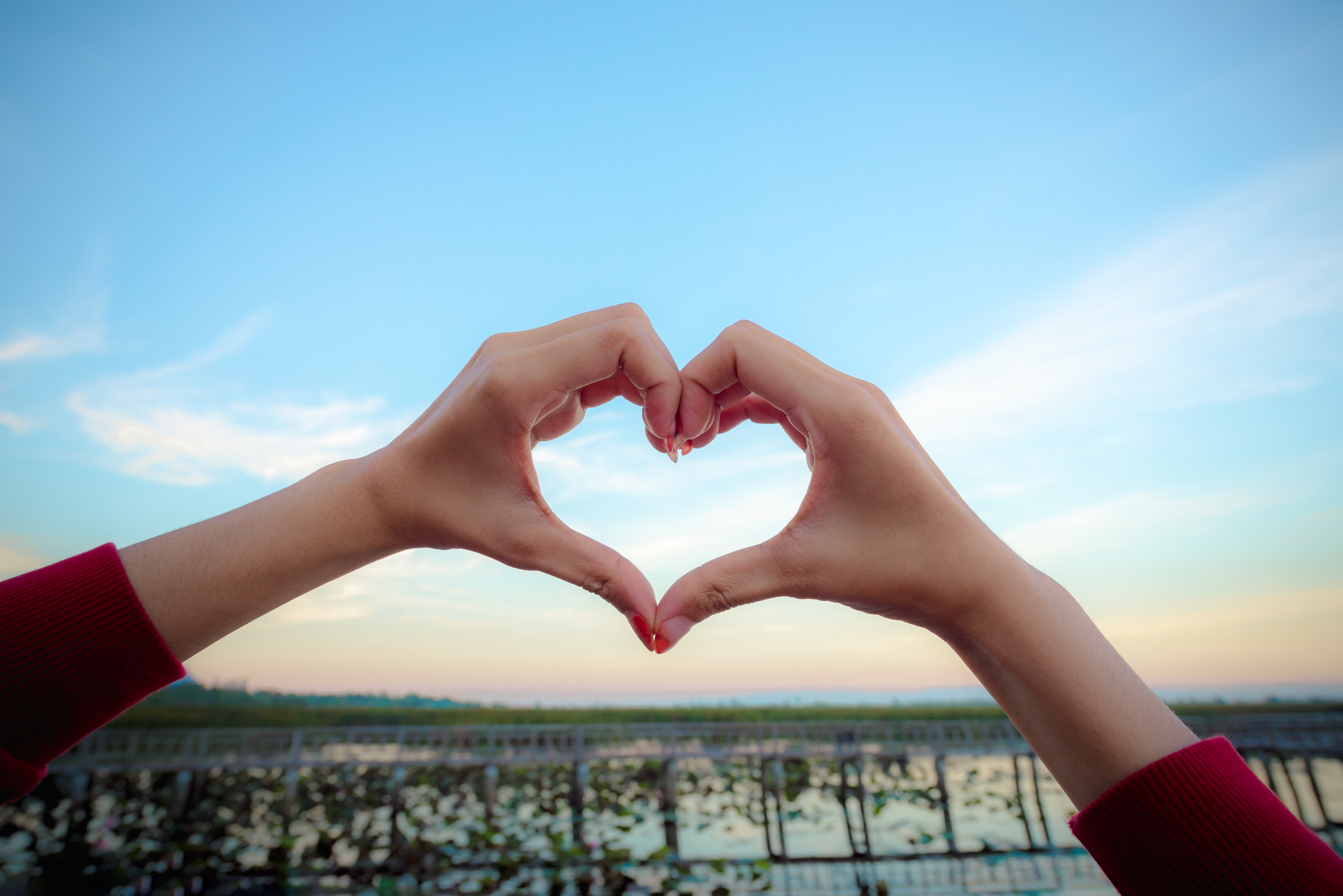 Person making a heart with their hands